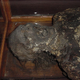 Illustration for article titled Drunk Museum Review: The Mütter Museum Will Give Me Nightmares Forever